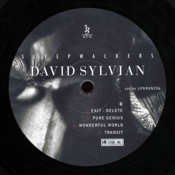 David Sylvian – Sleepwalkers (2LP)